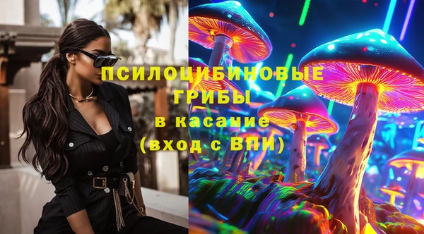 ECSTASY Алзамай