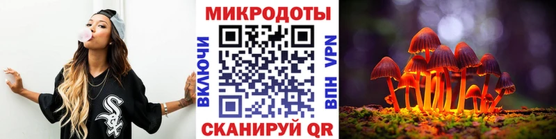 Галлюциногенные грибы Psilocybe  Когалым 